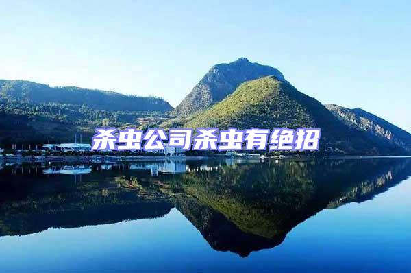 殺蟲公司殺蟲有絕招