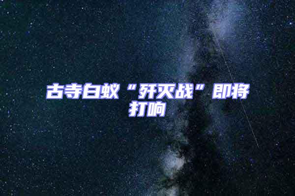 古寺白蟻“殲滅戰(zhàn)”即將打響