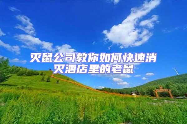滅鼠公司教你如何快速消滅酒店里的老鼠