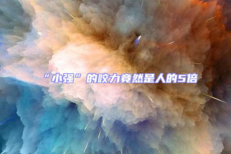 “小強(qiáng)”的咬力竟然是人的5倍