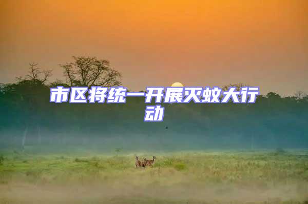 市區(qū)將統(tǒng)一開展滅蚊大行動