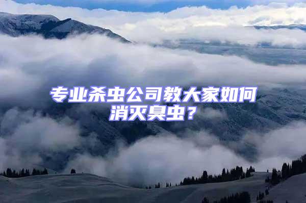 專業殺蟲公司教大家如何消滅臭蟲？