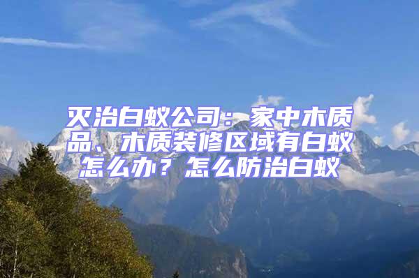滅治白蟻公司：家中木質品、木質裝修區域有白蟻怎么辦？怎么防治白蟻