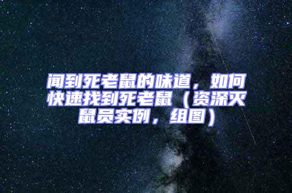 聞到死老鼠的味道，如何快速找到死老鼠（資深滅鼠員實例，組圖）