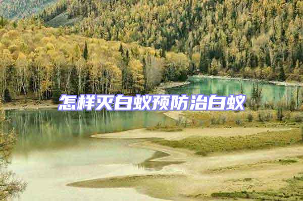 怎樣滅白蟻預(yù)防治白蟻