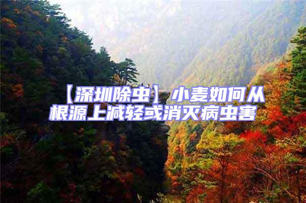【深圳除蟲】小麥如何從根源上減輕或消滅病蟲害