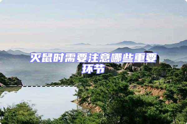 滅鼠時(shí)需要注意哪些重要環(huán)節(jié)