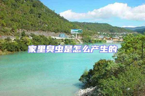 家里臭蟲是怎么產生的