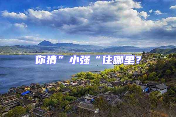 你猜”小強(qiáng)“住哪里？