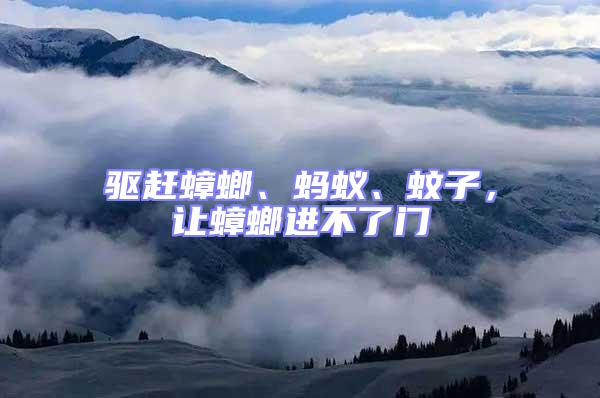 驅趕蟑螂、螞蟻、蚊子，讓蟑螂進不了門