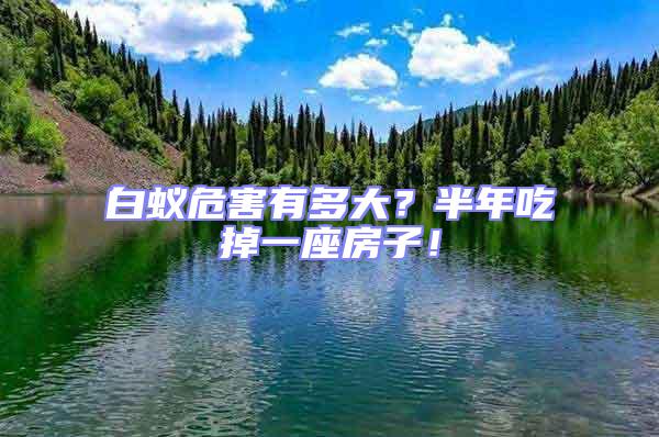 白蟻危害有多大？半年吃掉一座房子！