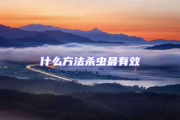 什么方法殺蟲最有效