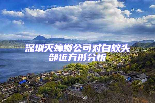 深圳滅蟑螂公司對(duì)白蟻頭部近方形分析