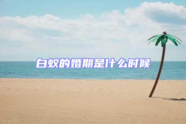 白蟻的婚期是什么時(shí)候
