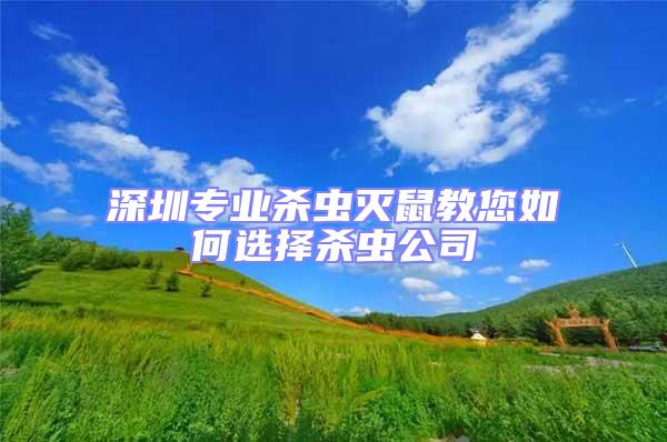 深圳專業殺蟲滅鼠教您如何選擇殺蟲公司