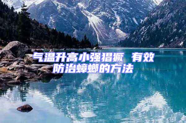 氣溫升高小強猖獗 有效防治蟑螂的方法