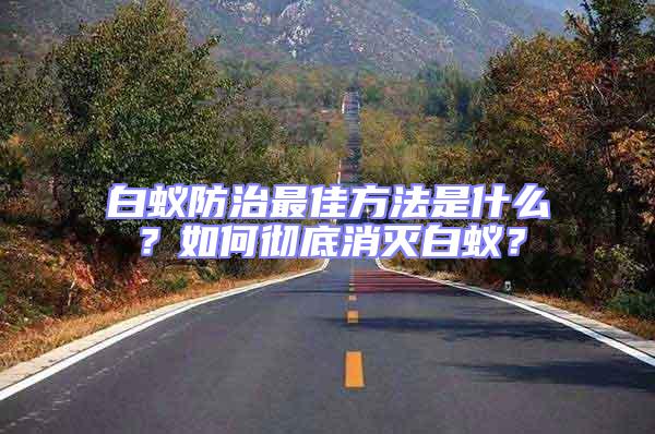 白蟻防治最佳方法是什么？如何徹底消滅白蟻？