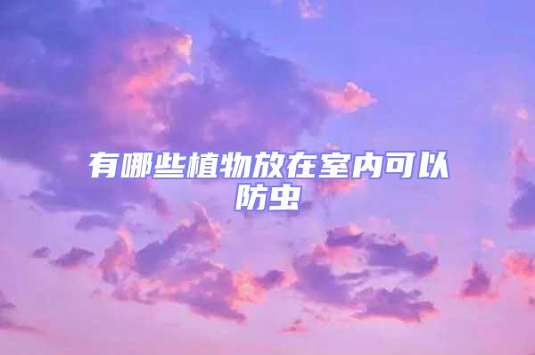 有哪些植物放在室內(nèi)可以防蟲(chóng)