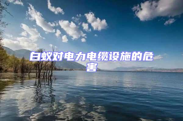 白蟻對電力電纜設施的危害
