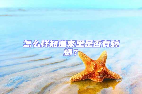 怎么樣知道家里是否有蟑螂？