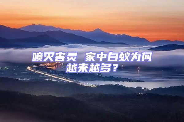 噴滅害靈 家中白蟻為何越來越多？