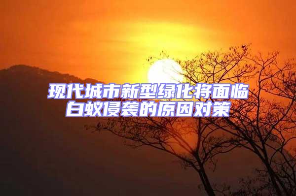 現代城市新型綠化將面臨白蟻侵襲的原因對策