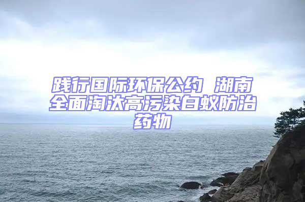 踐行國際環(huán)保公約 湖南全面淘汰高污染白蟻防治藥物