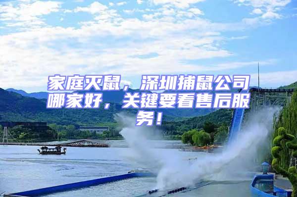 家庭滅鼠，深圳捕鼠公司哪家好，關鍵要看售后服務！