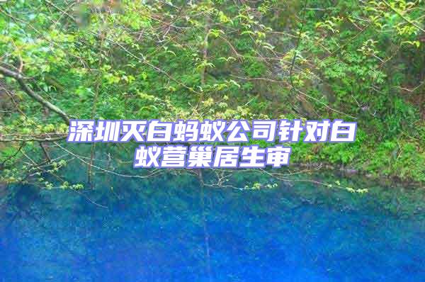 深圳滅白螞蟻公司針對(duì)白蟻營(yíng)巢居生審