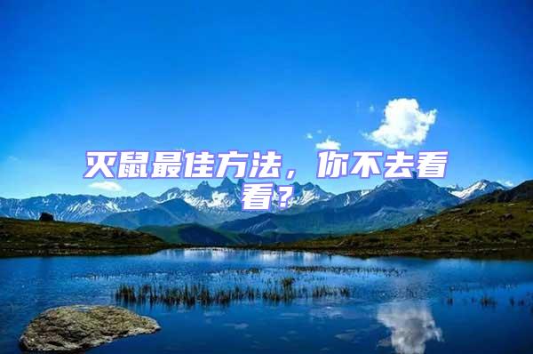 滅鼠最佳方法，你不去看看？