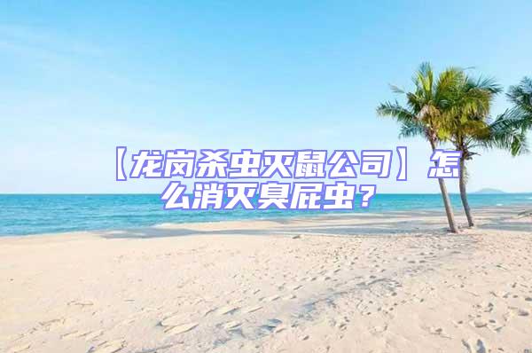 【龍崗殺蟲滅鼠公司】怎么消滅臭屁蟲？