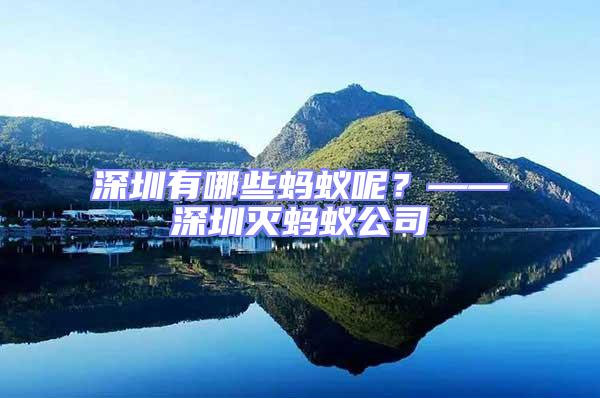深圳有哪些螞蟻呢？——深圳滅螞蟻公司