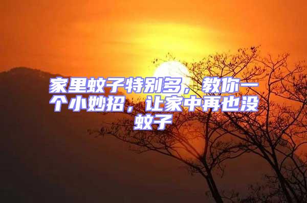 家里蚊子特別多，教你一個小妙招，讓家中再也沒蚊子