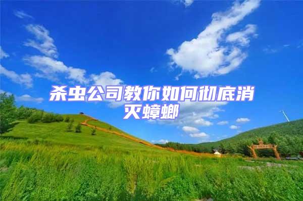 殺蟲(chóng)公司教你如何徹底消滅蟑螂