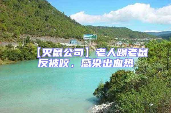 【滅鼠公司】老人踢老鼠反被咬，感染出血熱