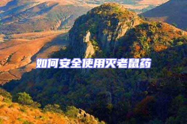 如何安全使用滅老鼠藥