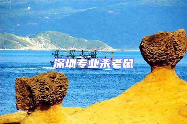 深圳專業殺老鼠