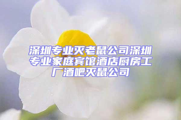 深圳專業滅老鼠公司深圳專業家庭賓館酒店廚房工廠酒吧滅鼠公司