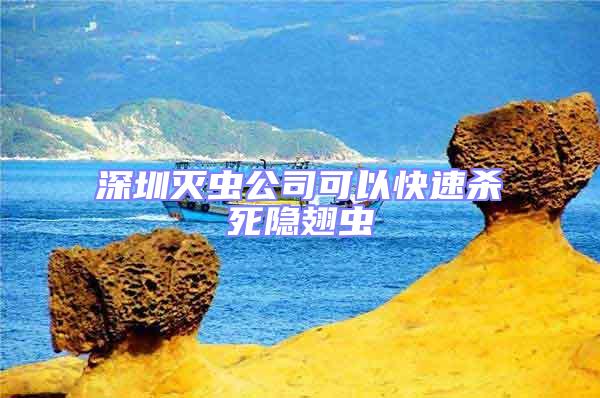 深圳滅蟲公司可以快速殺死隱翅蟲
