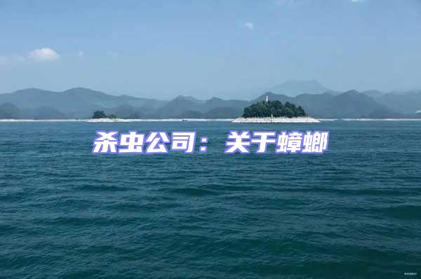 殺蟲公司：關(guān)于蟑螂