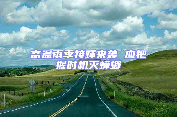高溫雨季接踵來襲 應(yīng)把握時機滅蟑螂