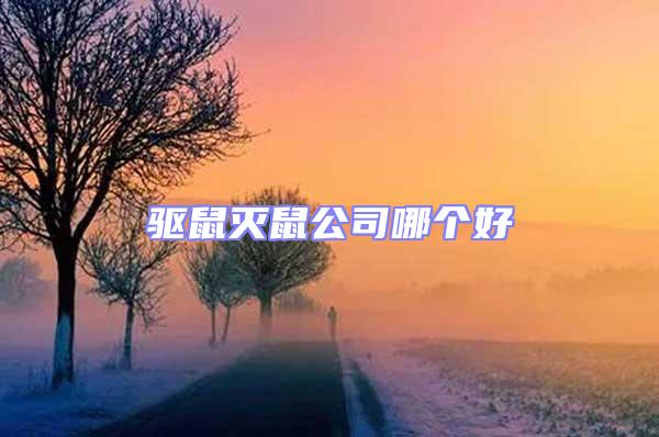 驅(qū)鼠滅鼠公司哪個好