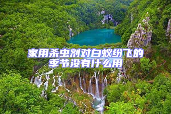 家用殺蟲劑對(duì)白蟻紛飛的季節(jié)沒有什么用