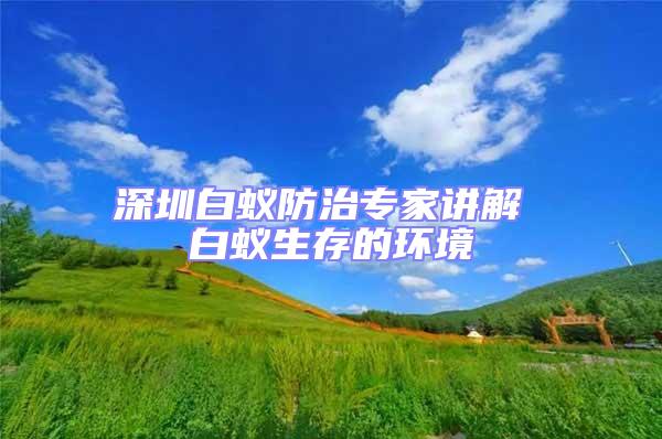 深圳白蟻防治專家講解 白蟻生存的環境