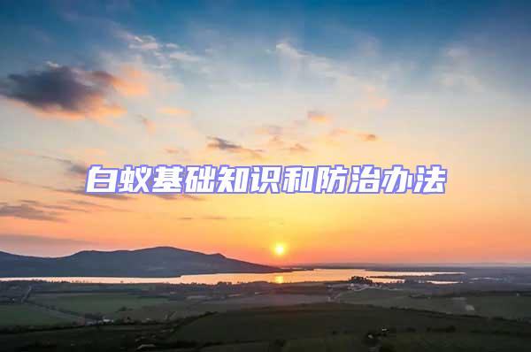 白蟻基礎知識和防治辦法