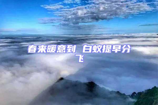 春來(lái)暖意到 白蟻提早分飛