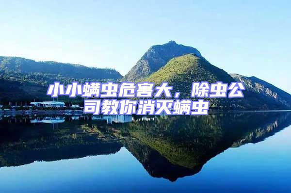 小小螨蟲危害大，除蟲公司教你消滅螨蟲