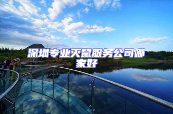 深圳專業(yè)滅鼠服務公司哪家好