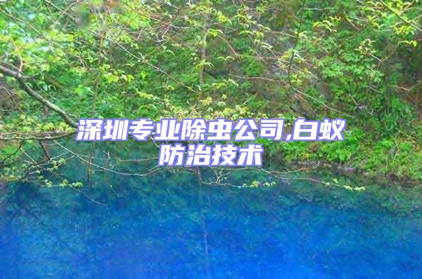 深圳專業除蟲公司,白蟻防治技術