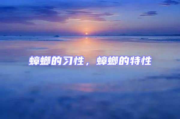 蟑螂的習(xí)性，蟑螂的特性